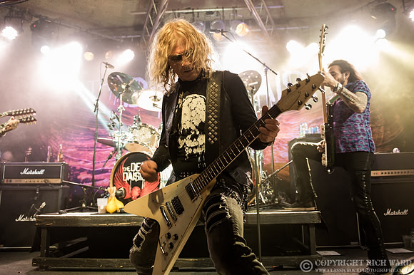 Dead Daisies