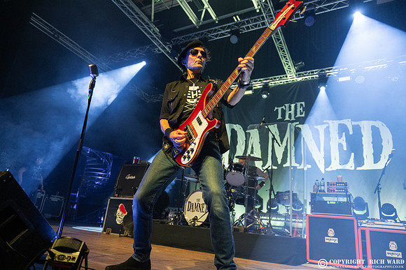 The Damned