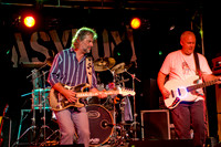 The Hamsters