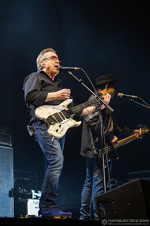 Blue Oyster Cult