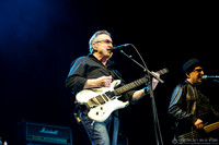 Blue Oyster Cult