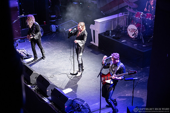The Struts