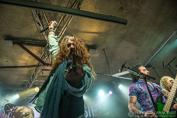 Dead Daisies