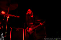 Kadaver