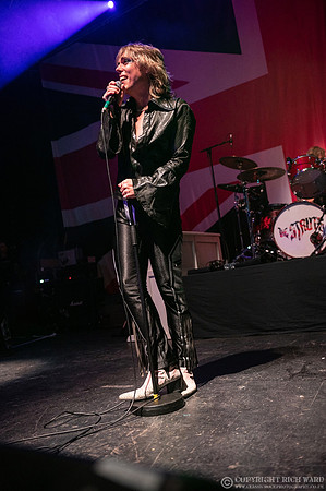 The Struts