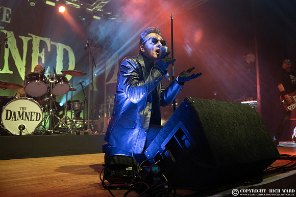 The Damned