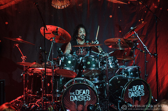 Dead Daisies