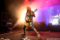 The Dead Daisies