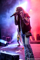 The Dead Daisies