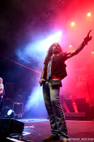 The Dead Daisies