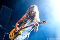 The Dead Daisies
