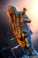 The Dead Daisies
