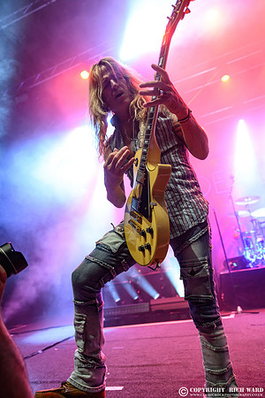 The Dead Daisies