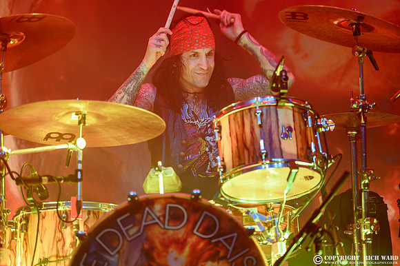 The Dead Daisies