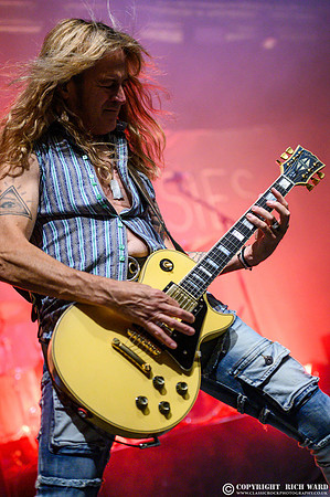 The Dead Daisies