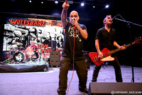 Wolfsbane