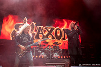 Saxon