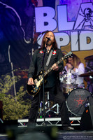 Black Spiders