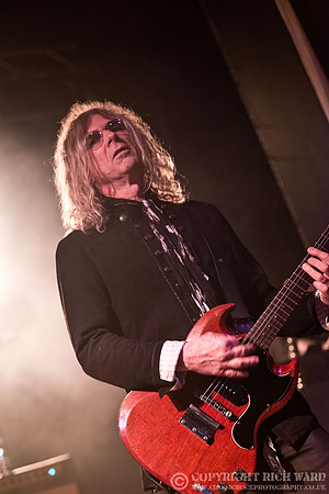 Dead Daisies