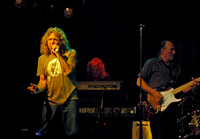 Robert Plant & The Honeydrippers
