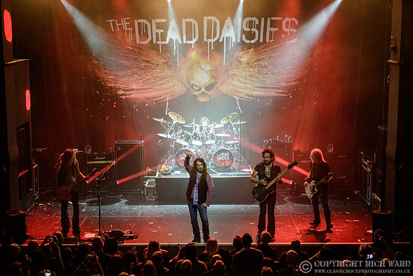 Dead Daisies
