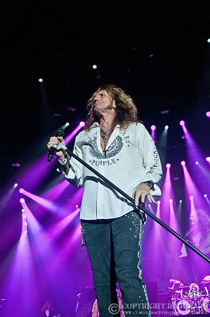 Whitesnake