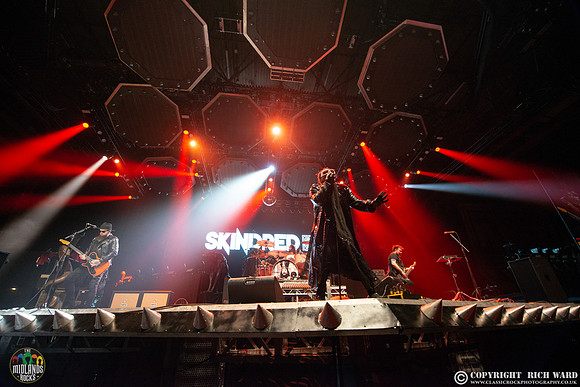 Skindred
