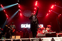 Skindred