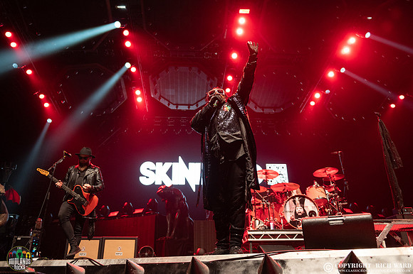 Skindred
