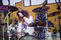 Black Spiders