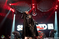 Skindred