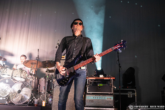The Damned