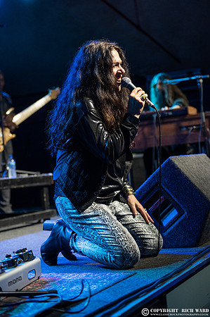 Sari Schorr