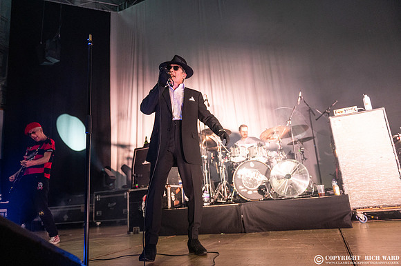 The Damned