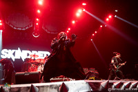 Skindred