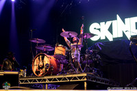 Skindred