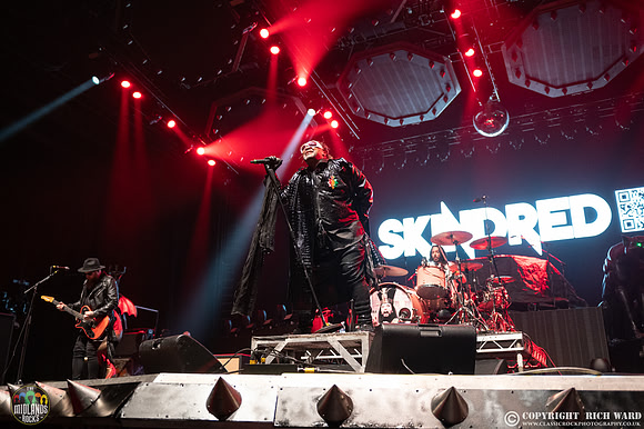 Skindred
