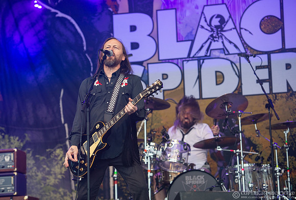 Black Spiders