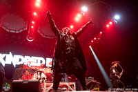 Skindred