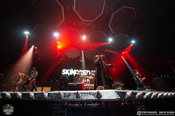 Skindred