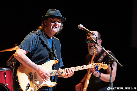 Walter Trout