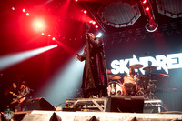 Skindred