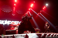 Skindred