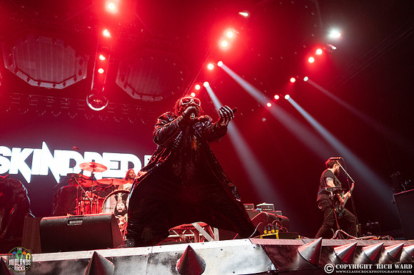 Skindred