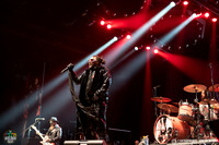 Skindred