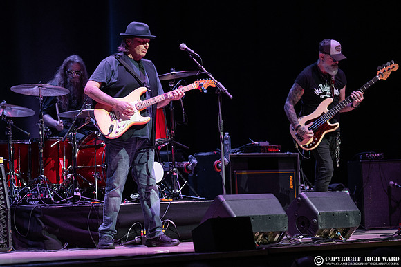 Walter Trout