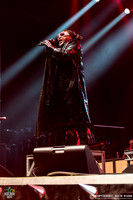 Skindred