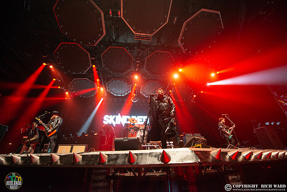 Skindred