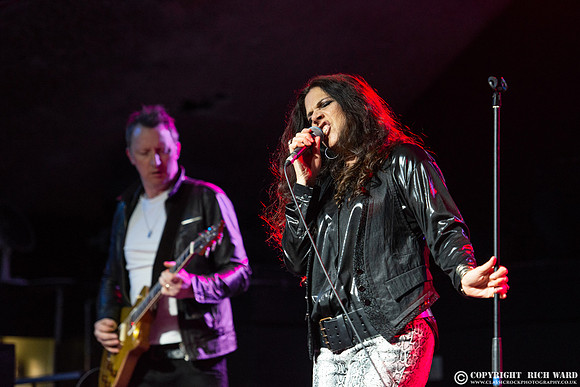 Sari Schorr