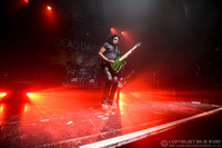 Dead Daisies